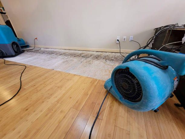 Professional Flood Damage Cleanup technician working in Glen Flora, TX